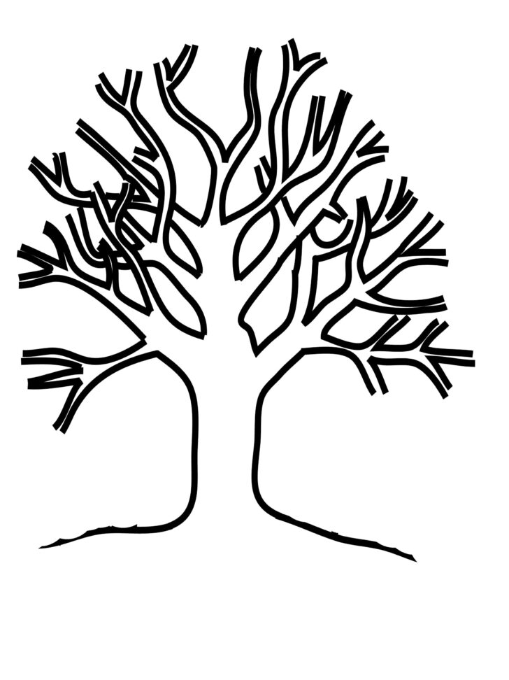 Printable Fall Tree Without Leaves
