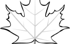 Sugar Maple Leaf Picture Coloring Page Kids Play Color MapleLeaves