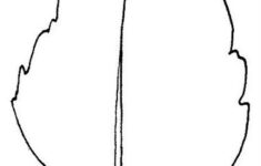 Sunflower Leaf Template ClipArt Best