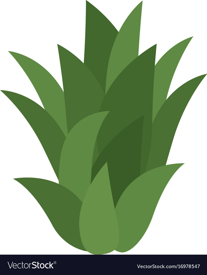 Sweet And Delicious Pineapple Leaves Royalty Free Vector