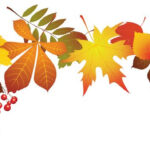 Transparent Autumn Leaves Decoration PNG Clipart Image Fall Clip Art