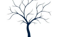 Tree Drawing No Leaves At GetDrawings Free Download