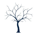 Tree Drawing No Leaves At GetDrawings Free Download