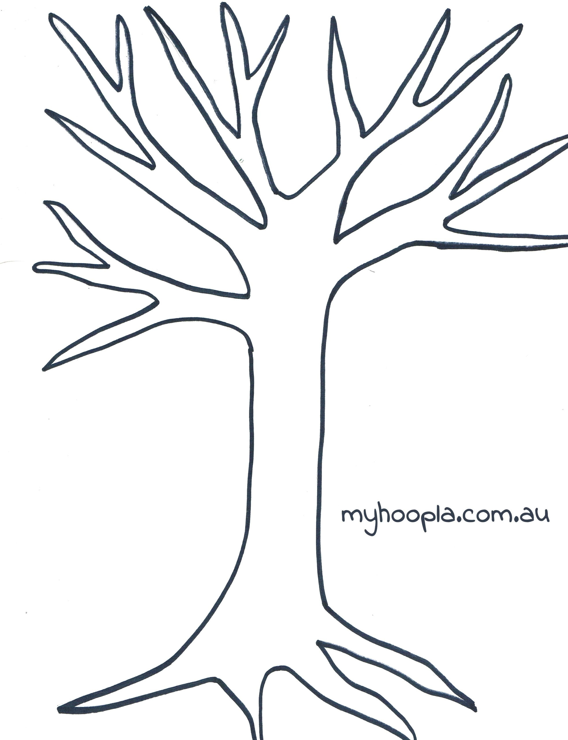 Tree Drawing No Leaves At GetDrawings Free Download