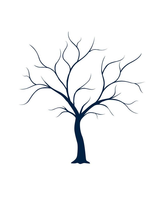 Tree Drawing No Leaves At GetDrawings Free Download