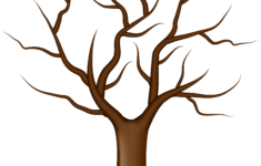 Tree With No Leaves Clipart 20 Free Cliparts Download Images On