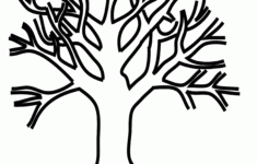 Tree With No Leaves Coloring Page Coloring Home