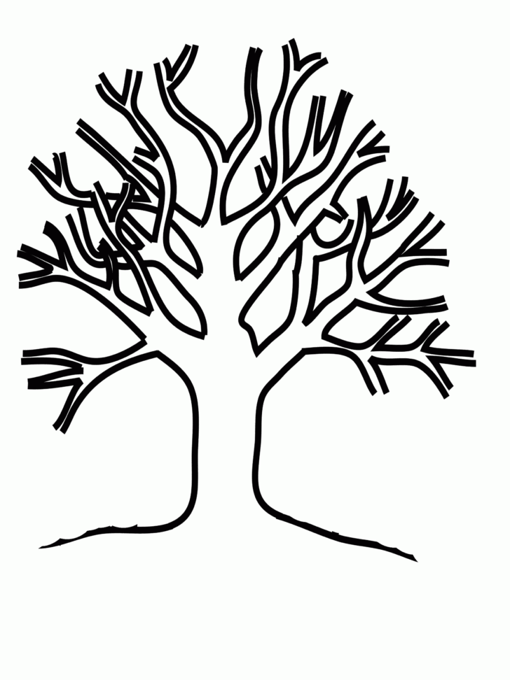 Tree With No Leaves Printable