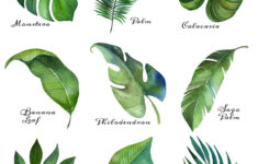 Tropical Leaf Free Printable Art Series Of 9 The Happy Housie