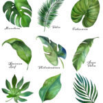 Tropical Leaf Free Printable Art Series Of 9 The Happy Housie