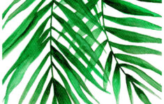 Tropical Leaf II Painting By Pdfdecor Wall Art Pixels