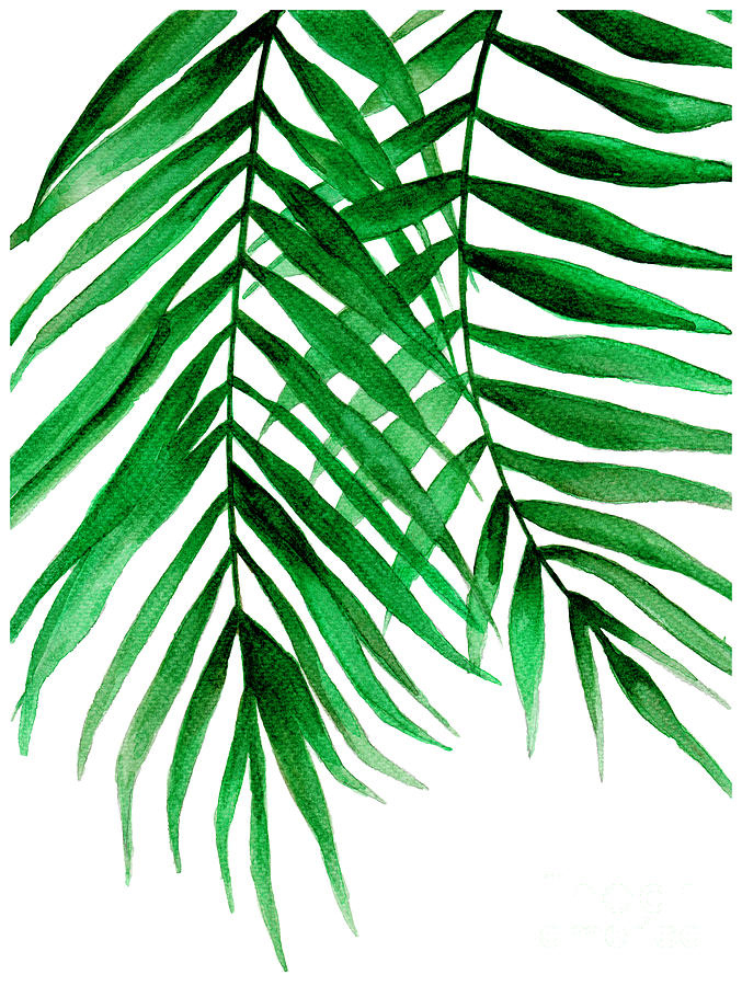 Tropical Leaf II Painting By Pdfdecor Wall Art Pixels