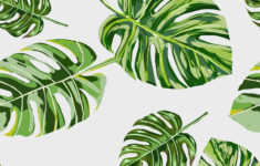 Tropical Leaf Outline B77