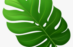 Tropical Leaf Png Clipart Transparent Png Kindpng