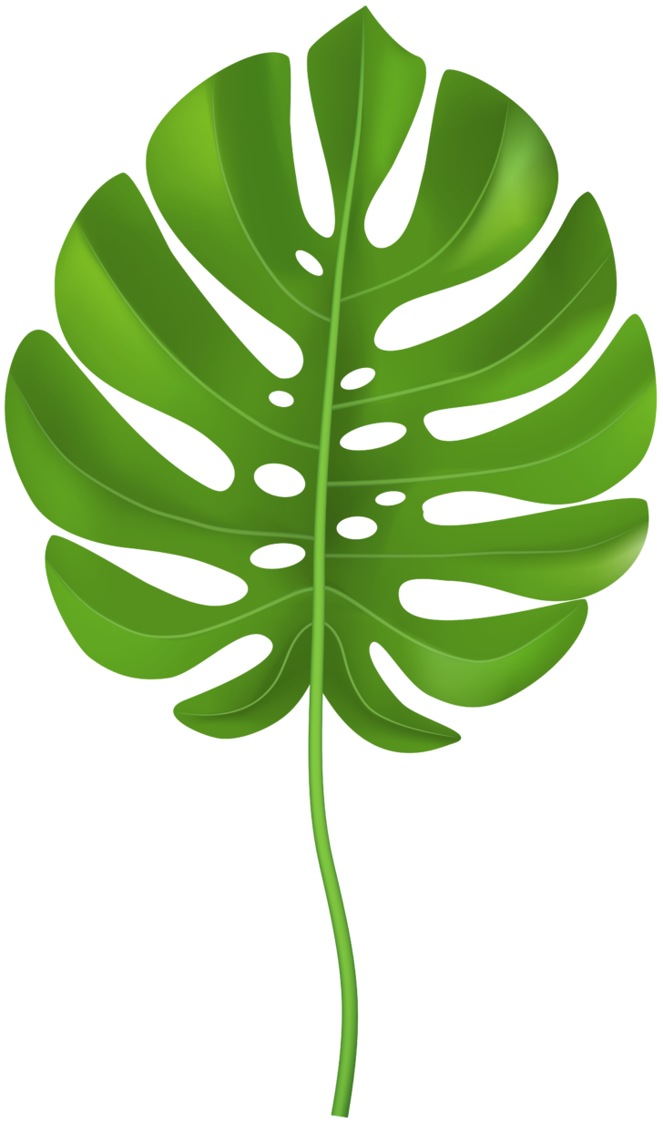 Printable Leaf Tropical