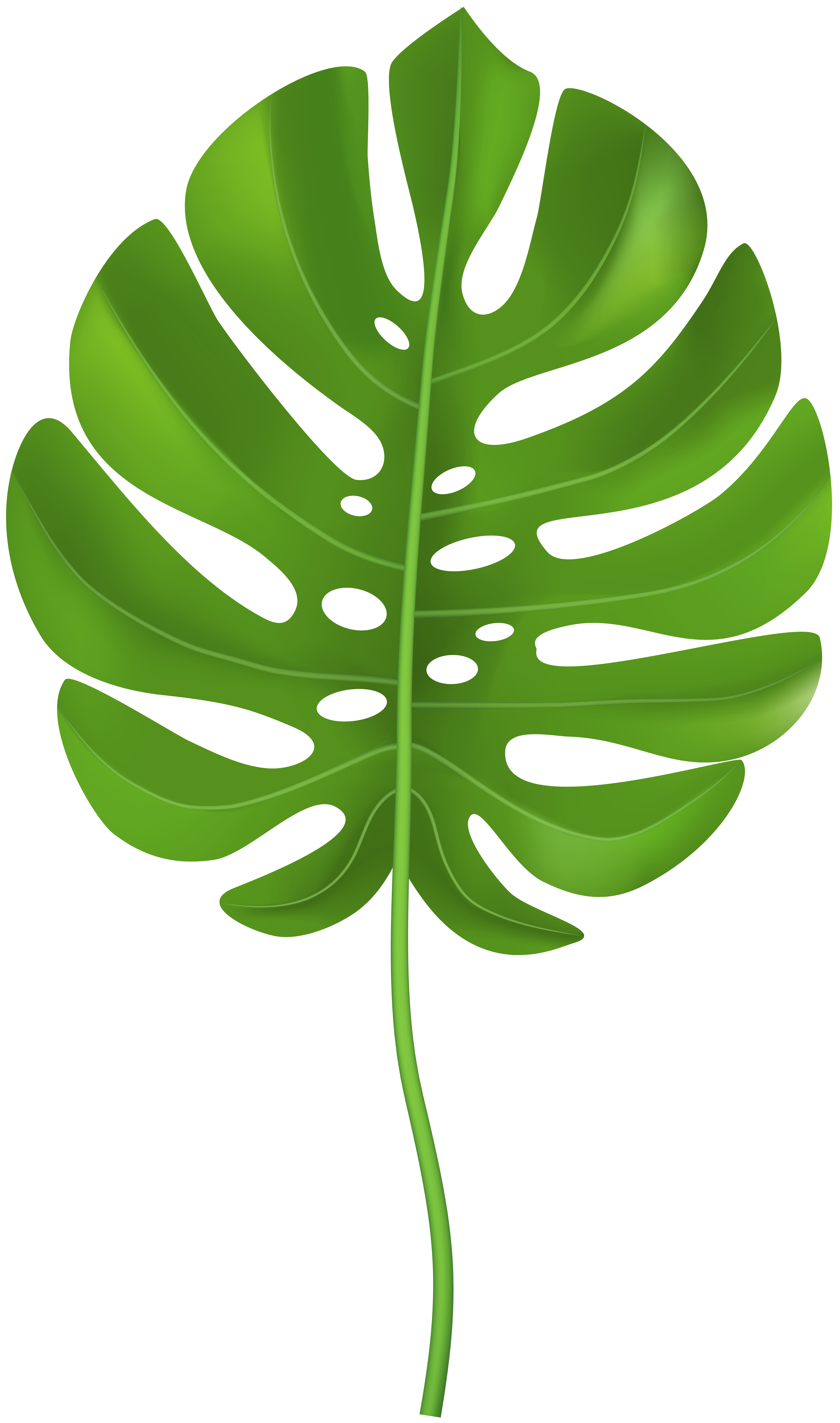 Tropical Leaves Clipart 212 Leaf Stencil Leaf Drawing Tropical Leaves