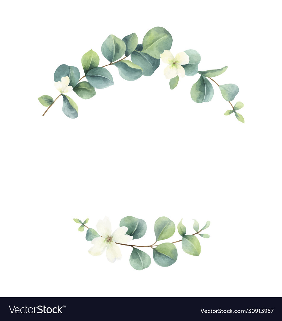 Watercolor Frame With Eucalyptus Leaves Royalty Free Vector