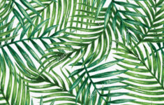 Watercolor Leaves Png