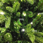 A Christmas Background Of The Green Leaves Of An Xmas Tree With Pertaining To Leaves Of A Christmas Tree