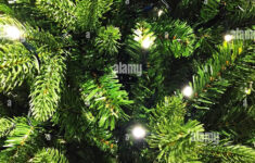 A Christmas Background Of The Green Leaves Of An Xmas Tree With regarding Christmas Tree With Leaves