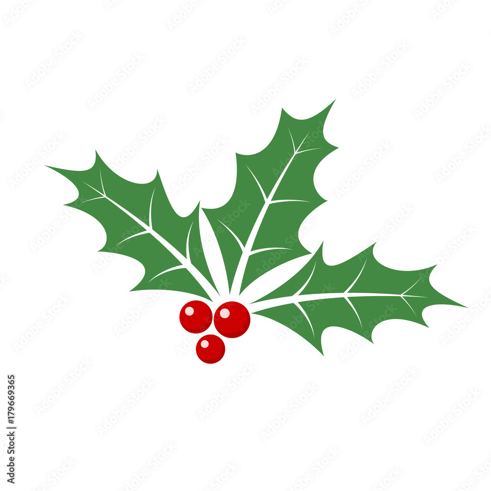 Christmas Holly Berry Leaves. Vector Illustration. Stock Vector in Christmas Holly Leaves