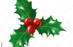 Isolated Holly Berry With Leaves. Ilex Berries On Sprig With Leaf inside Christmas Leaves With Berries