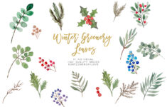 Winter Greenery Leaves Clipart, Christmas Leavessunflower Day for Christmas Leaves Clipart