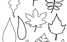 37 Printable Leaf Templates, Outlines &amp; Shapes (Free) - World Of inside Free Leaf Templates Printable