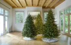 9 Most Popular Types Of Christmas Trees | Balsam Hill for Christmas Tree Leaves Are Called