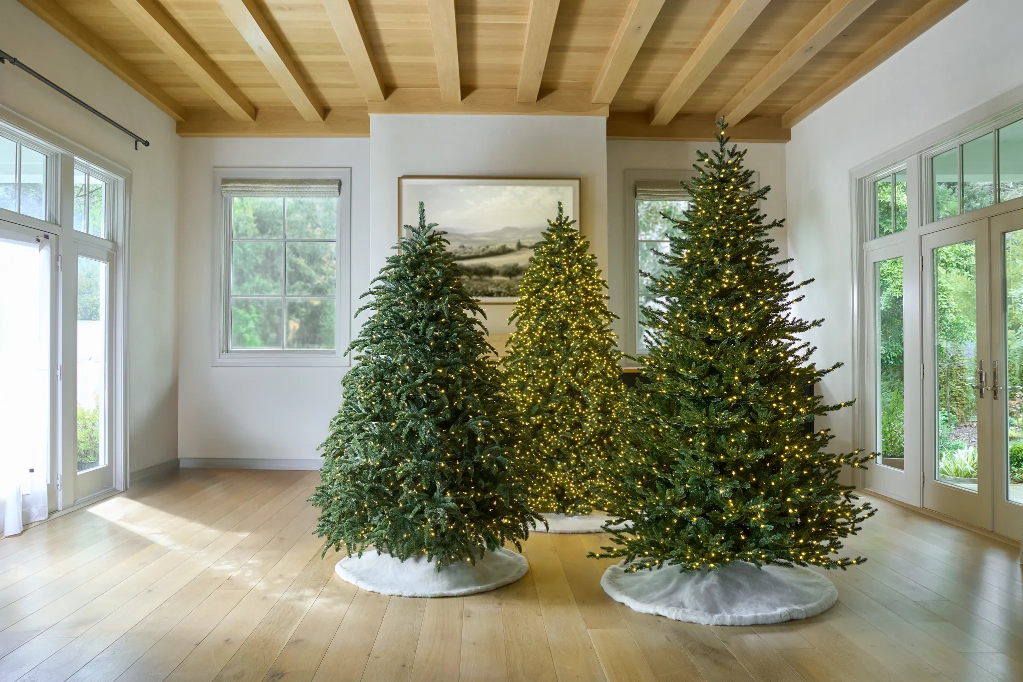9 Most Popular Types Of Christmas Trees | Balsam Hill for Christmas Tree Leaves Are Called