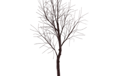 Artificial Tree Without Leaves Brown, Height 200 Cm | Decowoerner intended for Christmas Tree Without Leaves