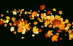 Autumn-Fall-Leaves-Fall-Leaf-Clip-Art-Outline-Free-Clipart-Images within Fall Leaves Clip Art Printable