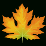 Big Leaf Maple Autumn Leaf   Free Vector Clipart Images On Pertaining To Big Fall Leaves Printable