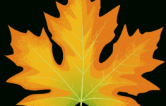 Big Leaf Maple Autumn Leaf - Free Vector Clipart Images On pertaining to Big Fall Leaves Printable