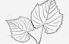 Cartoon Grape Leaves, Grape Clipart, Cartoon Clipart, Leaves pertaining to Grape Leaf Template Printable