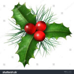Christmas Holly Red Berries Green Leaves Stock Illustration Throughout Green Christmas Leaves