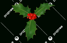 Christmas Leaf Png Transparent Images Free Download | Vector Files regarding Green Christmas Leaves