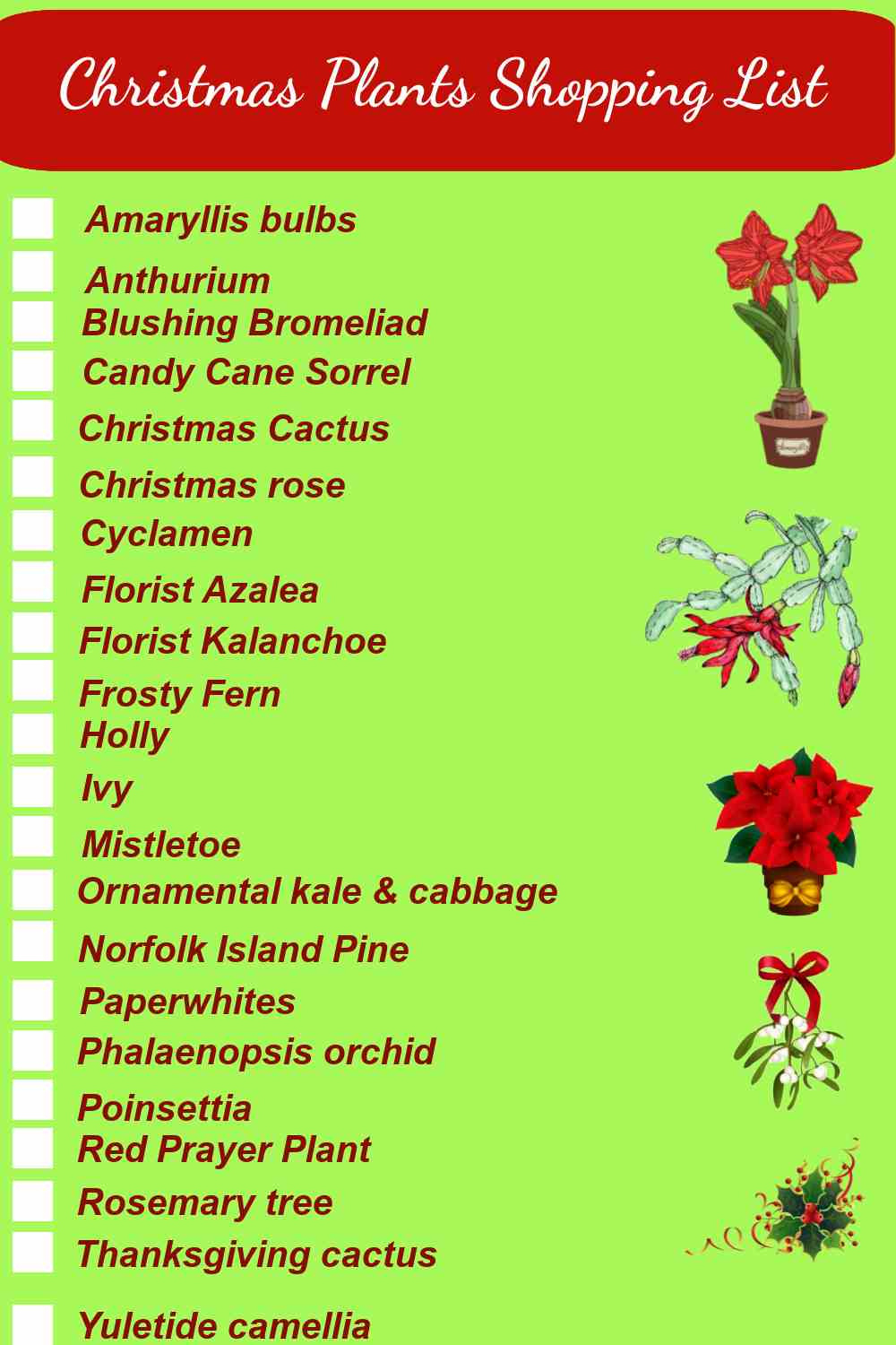 Christmas Plants - List Of 27 Flowers And Holiday Plants For Xmas with regard to Christmas Leaves Called