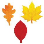 Color Fall Leaves Template   Clip Art Library   Worksheets Library Throughout Printable Fall Leaves In Color