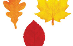 Color Fall Leaves Template - Clip Art Library - Worksheets Library throughout Printable Fall Leaves In Color