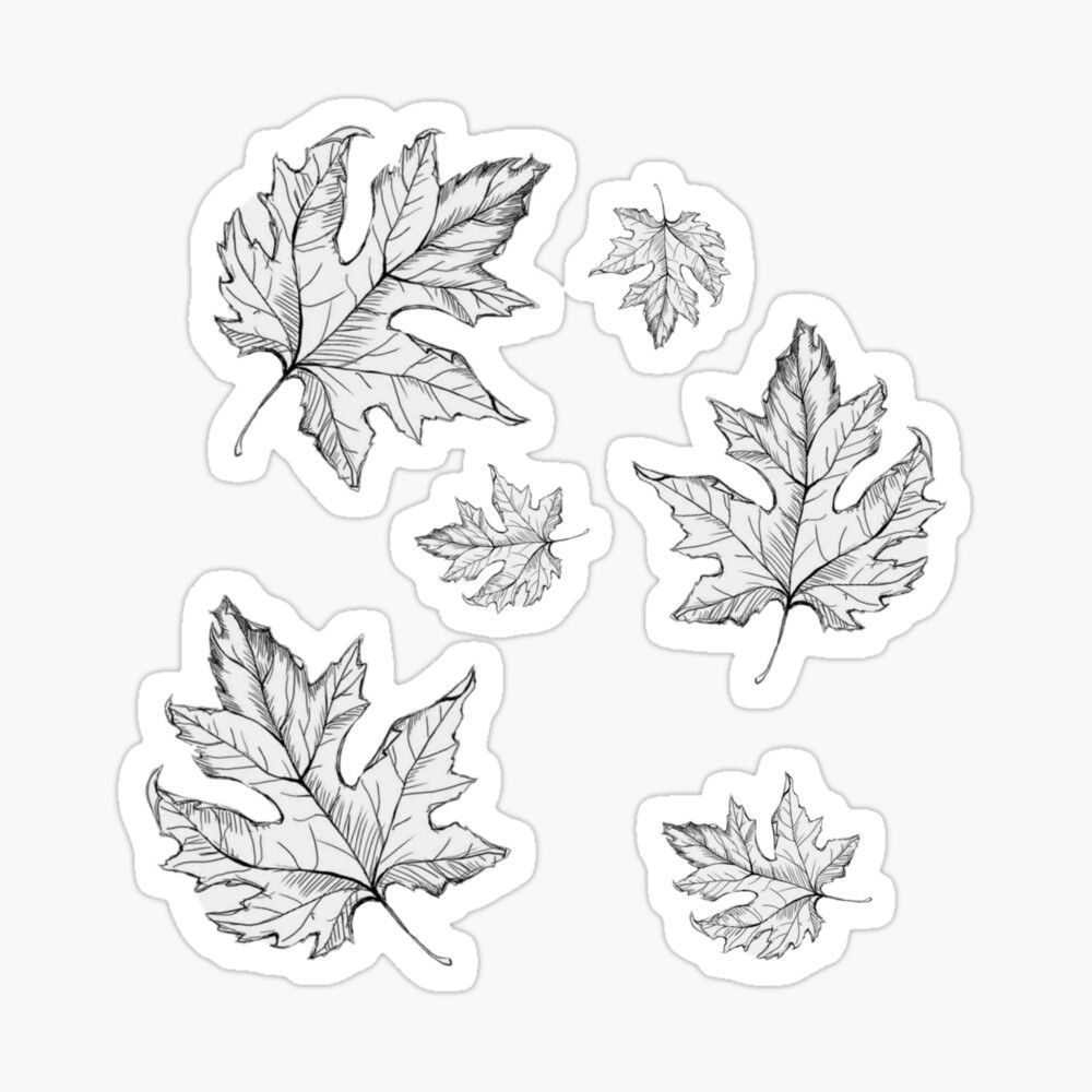 Colorable Fall Leaves Sticker Pack $1.25 with regard to Fall Leaves Printable Black And White