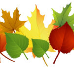 Fall Clipart Free 18 M Fall Leaves Fall Clip Art Autumn Clip Art For Fall Leaves Clip Art Printable