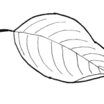 Fall Leaf Pattern Printables   Just Paint It Blog With Regard To Grape Leaf Template Printable Free