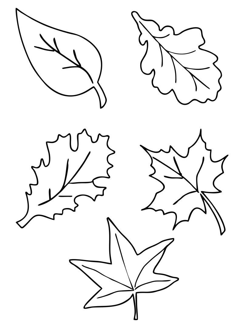 Fall Leaf Printables - Printable Party Favors within Printable Fall Leaves Free