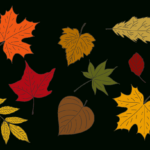 Fall Leaves   10 Free Pdf Printables | Printablee   Worksheets Library Pertaining To Printable Fall Leaves In Color