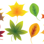 Fall Leaves Clip Art   A Free Clip Art Bundle That'S Too Good To Miss! Regarding Printable Fall Leaves In Color