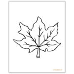 Fall Leaves Coloring Pages + Free Printable Leaf Templates ⋆ Love For Printable Fall Leaves To Color
