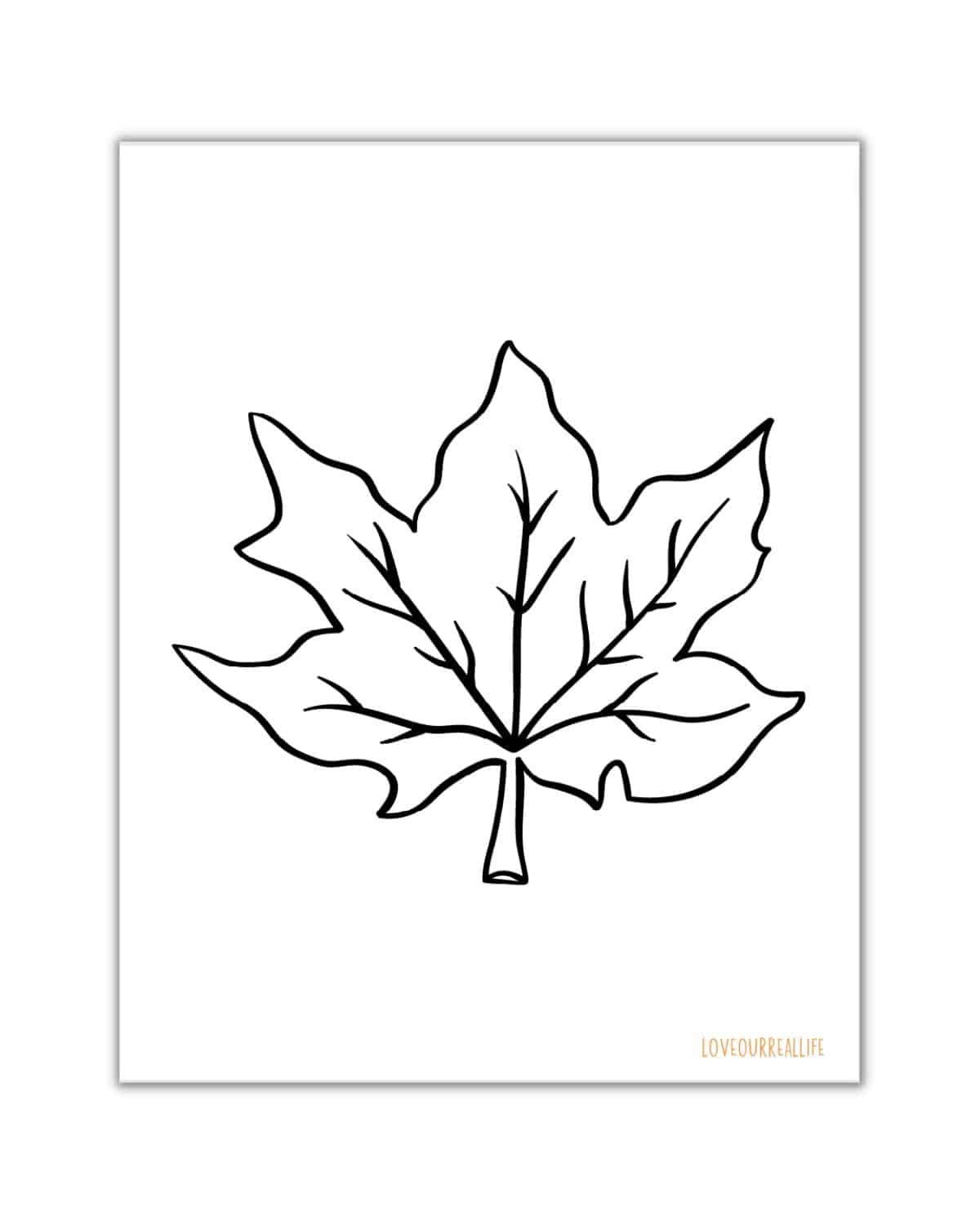 Fall Leaves Coloring Pages + Free Printable Leaf Templates ⋆ Love for Printable Fall Leaves to Color