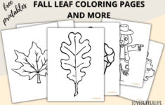 Fall Leaves Coloring Pages + Free Printable Leaf Templates ⋆ Love in Free Printable Fall Leaves Coloring Pages