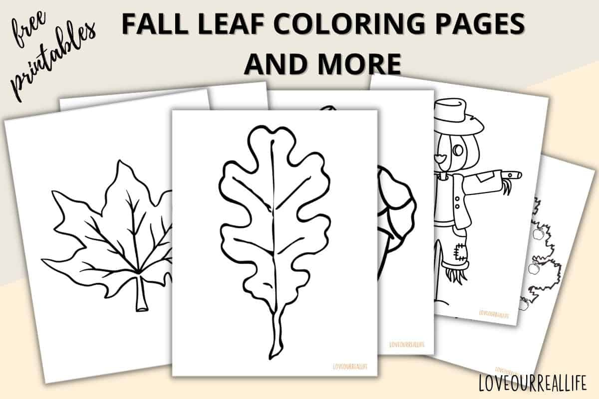 Fall Leaves Coloring Pages + Free Printable Leaf Templates ⋆ Love regarding Free Printable Fall Leaves Coloring Pages